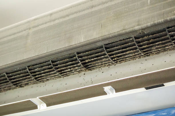 Best Affordable Duct Cleaning Services  in Vernon Hls, IL